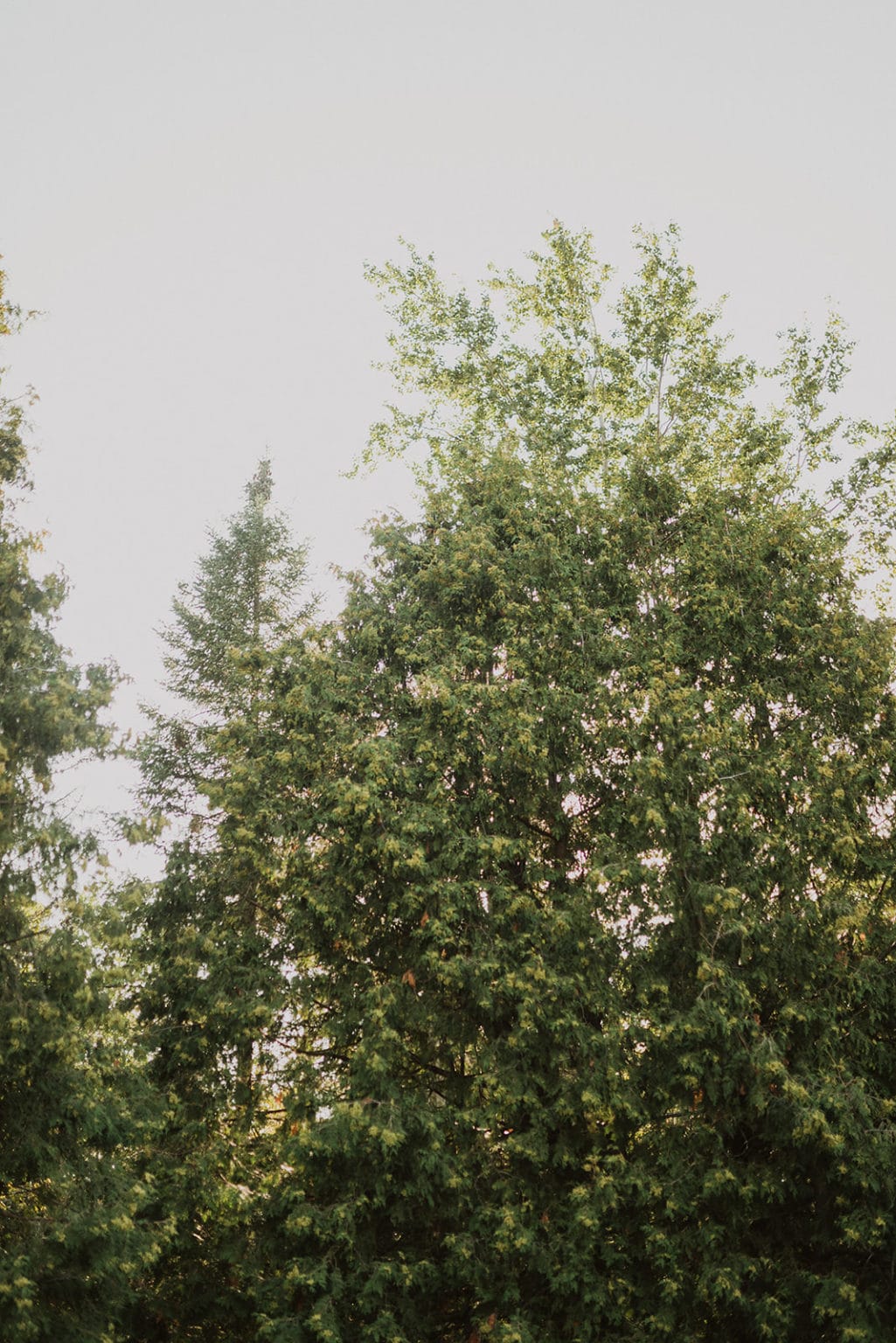 Choose your Duluth Sauna Experience with Cedar & Stone