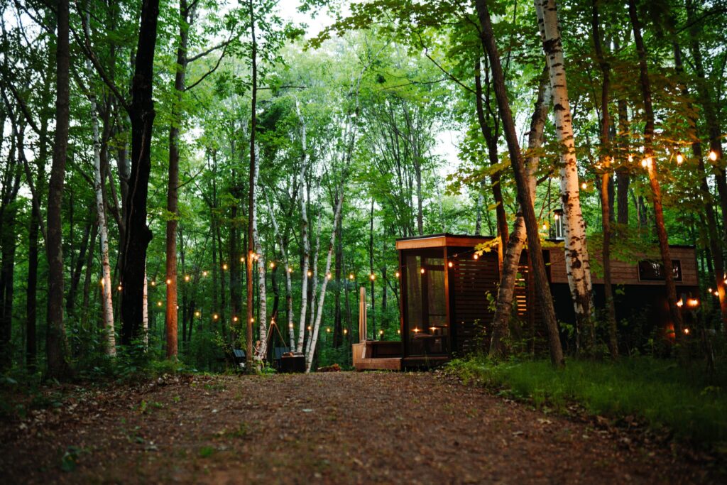 Forest Bathing Retreat | Silvae Spiritus
